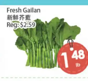 Fresh Palace Supermarket Fresh Gailan offer