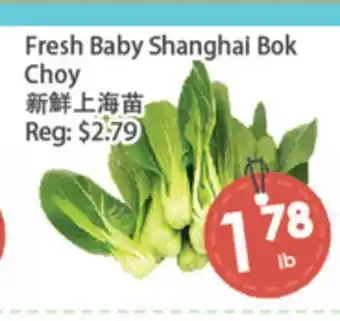 Fresh Palace Supermarket Fresh Baby Shanghai Bok Choy offer