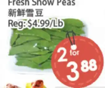 Fresh Palace Supermarket Fresh Snow Peas offer