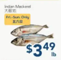 Oceans Fresh Food Market Indian Mackerel offer