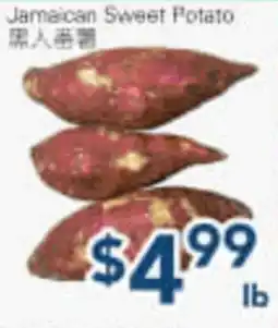 Oceans Fresh Food Market Jamaican Sweet Potato offer