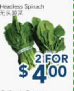 Oceans Fresh Food Market Headless Spinach offer