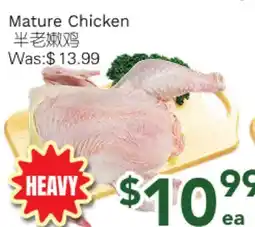 Ample Food Market Mature Chicken offer