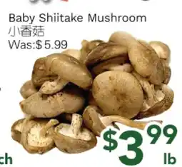 Ample Food Market Baby Shiitake Mushroom offer