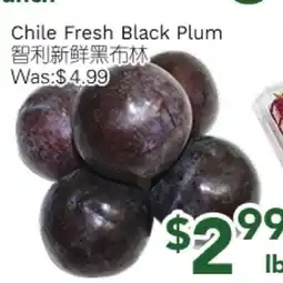 Ample Food Market Chile Fresh Black Plum offer