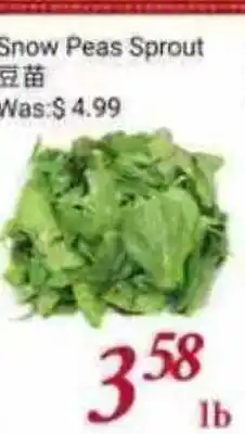 Tone Tai Supermarket Snow Peas Sprout offer