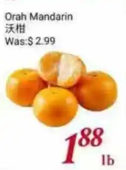 Tone Tai Supermarket Orah Mandarin offer