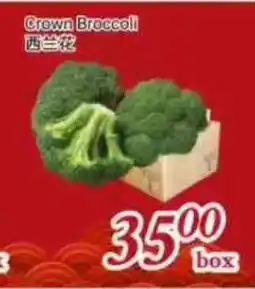 Tone Tai Supermarket Crown Broccoli offer