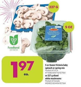Giant Tiger 5 oz queen victoria baby spinach or spring mix offer