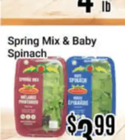 Nations Fresh Foods Spring Mix & Baby Spinach offer