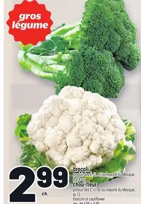 Metro BROCOLI | BROCCOLI offer