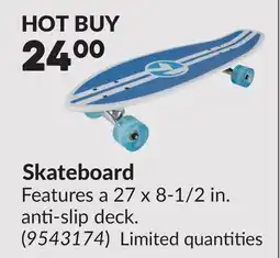 Princess Auto Skateboard offer