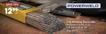 Princess Auto 2 kg Welding Electrodes offer