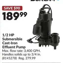Princess Auto Submersible Cast-Iron Effluent Pump offer