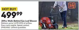 Princess Auto 209cc Walk-Behind Gas Leaf Blower offer