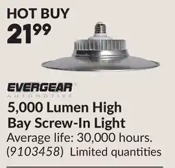 Princess Auto 5,000 Lumen High Bay Screw-In Light offer