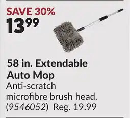 Princess Auto 58 in. Extendable Auto Mop offer