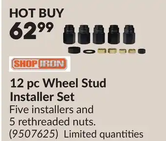 Princess Auto 12 pc Wheel Stud Installer Set offer