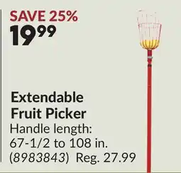Princess Auto Extendable Fruit Picker offer