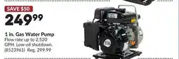 Princess Auto 1 in. Gas Water Pump offer