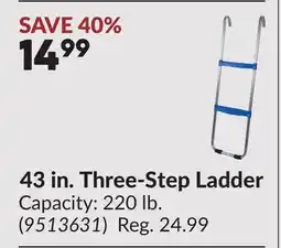 Princess Auto 43 in. Three-Step Ladder offer