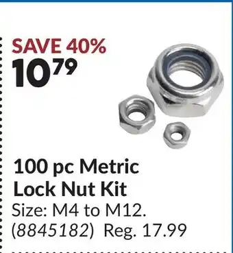 Princess Auto 100 pc Metric Lock Nut Kit offer