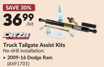 Princess Auto Truck Tailgate Assist Kits offer