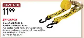 Princess Auto 2 in. x 15 ft2,500 lb Ratchet Tie-Down Strap offer