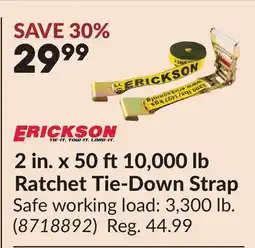 Princess Auto 2 in. x 50 ft10,000 lb Ratchet Tie-Down Strap offer