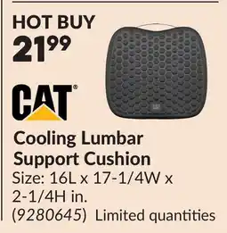 Princess Auto Cooling Lumbar Support Cushion offer