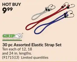 Princess Auto 30 pc Assorted Elastic Strap Set offer