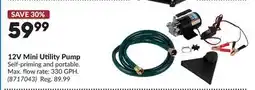 Princess Auto 12V Mini Utility Pump offer