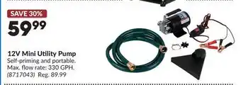 Princess Auto 12V Mini Utility Pump offer