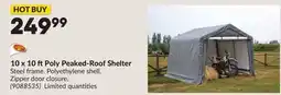Princess Auto 10 x 10 ftPoly Peaked-Roof Shelter offer