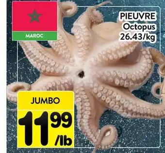 Supermarché PA PIEUVRE / Octopus offer