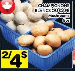 Supermarché PA CHAMPIGNONS BLANCS OU CAFÉ / Mushrooms offer