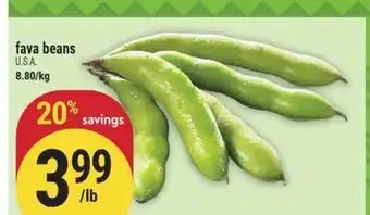 Marché Adonis Fava beans offer