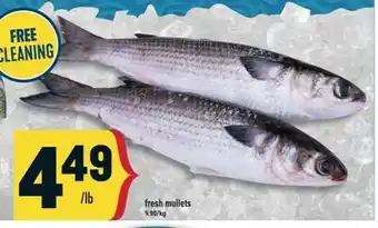 Marché Adonis Fresh mullets offer