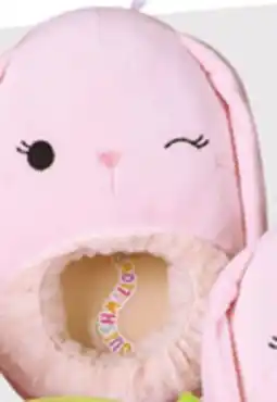 Giant Tiger girls or women's licensed slippers offer