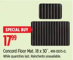 Canadian Tire Concord Floor Mat. 18 x 30˝ offer