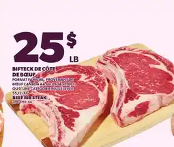 Provigo BEEF RIB STEAK offer