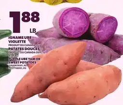 Provigo PURPLE UBE YAM OR SWEET POTATOES offer