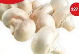 Giant Tiger whole white mushrooms offer