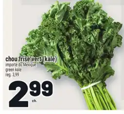 Metro CHOU FRISÉ VERT (KALE) | GREEN KALE offer