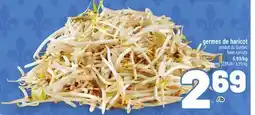 Metro GERMES DE HARICOT | BEAN SPROUTS offer