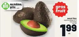 Metro AVOCAT HASS | HASS AVOCADO offer