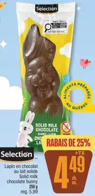Jean Coutu Selection Solid milk chocolate bunny offer