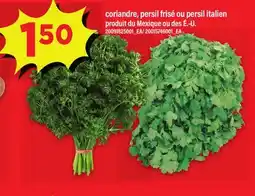 Maxi CORIANDRE, PERSIL FRISÉ OU PERSIL ITALIEN PRODUIT DU MEXIQUE OU DES É.-U offer