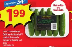 Maxi MINI CONCOMBRES DÉLICES DU MARCHÉ, 6 UN offer