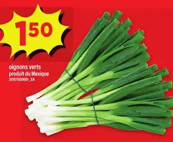 Maxi OIGNONS VERTS offer